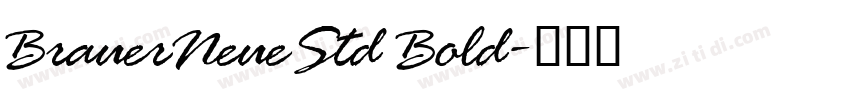 BrauerNeueStd Bold字体转换